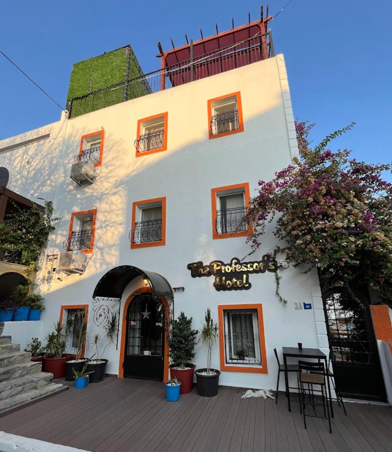 The Professor'S Hotel بودروم المظهر الخارجي الصورة